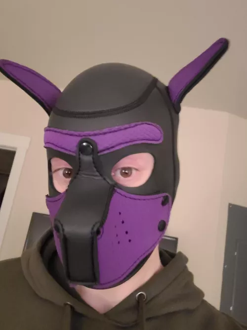 34m excited to start his pup journey with his new Master