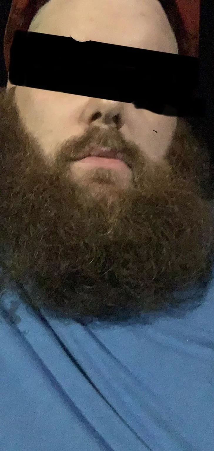 35 Bi… Gave my first BJ this weekend… he wanted to finish on my beard. Is that a thing??? I thought it would be messy so I just swallowed it.