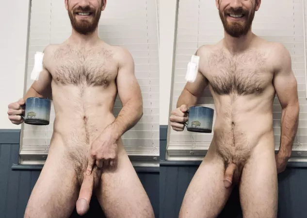 [35] it’s not the size of the dog in the fight, but the size of the fight in the dog. Who wants to pet?