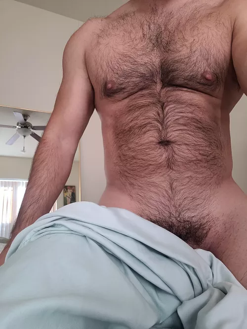 (35) Wanna play  (35) Wanna play