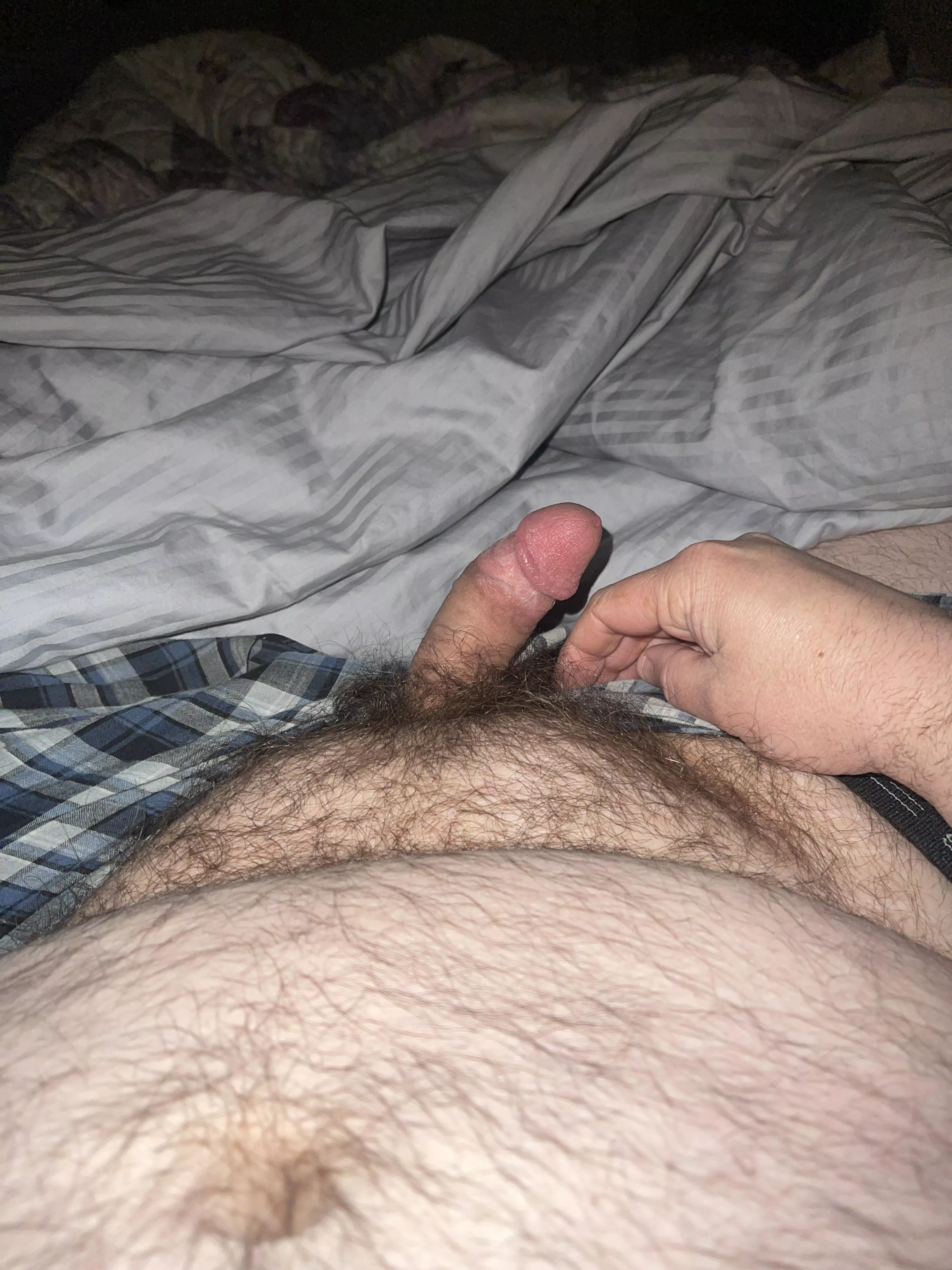 [38] anyone horny