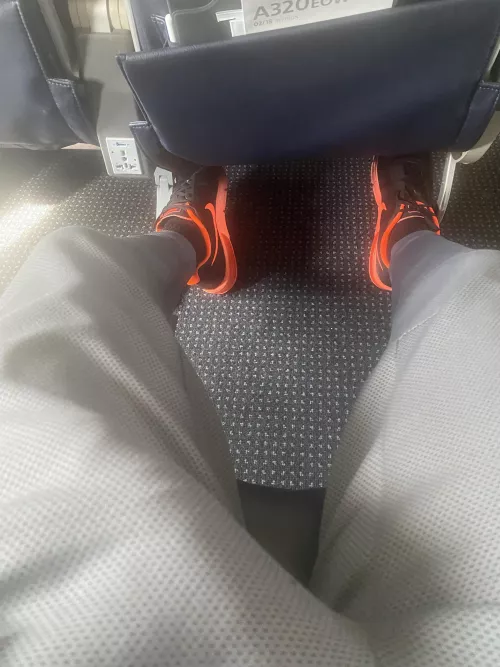 38 Experienced Bull For Hotwives or Unicorns Tampa, Orlando Area. 6’1” 02/08-02/11 38 Experienced Bull For Hotwives or Unicorns Tampa, Orlando Area. 6’1” 02/08-02/11