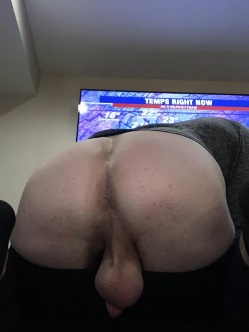 38 year old married dad ass and balls for everyone’s enjoyment. They’re both looking a little to dry!