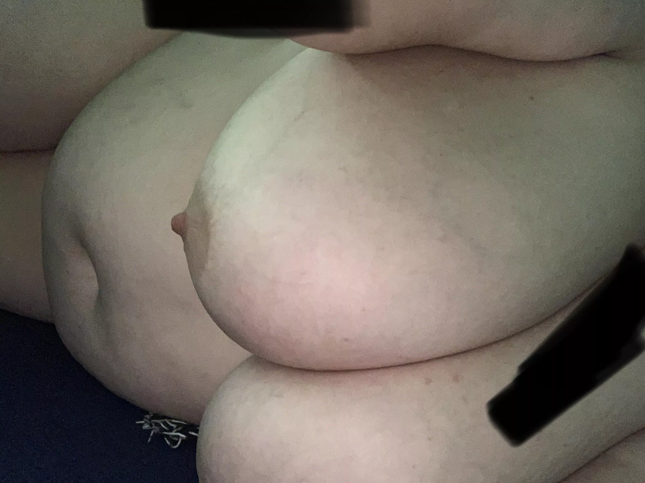 38f, 240, 5’ 3”. Just me again. Self conscious about my whole torso so… here we are.