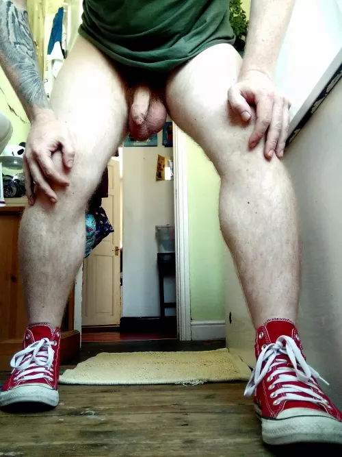 [39] First time posting here. Is this wild enough?