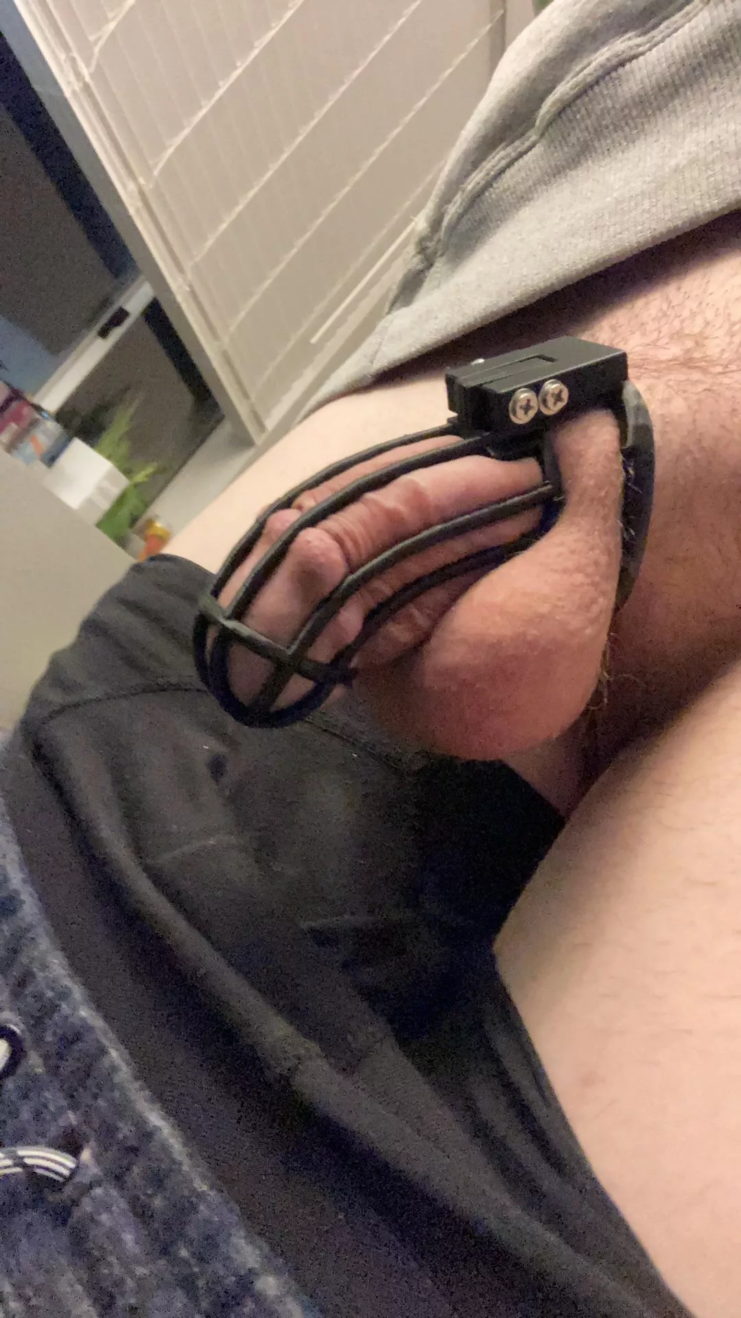 3D printed chastity. Put it on dec 31. Gonna see how far I can go into the new year. Feel free to send humiliating pics or messages! This beta deserves it