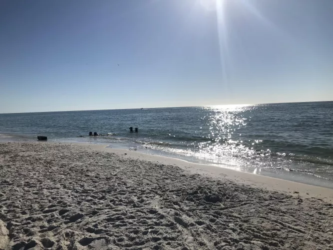 3rd St N. Naples, FL