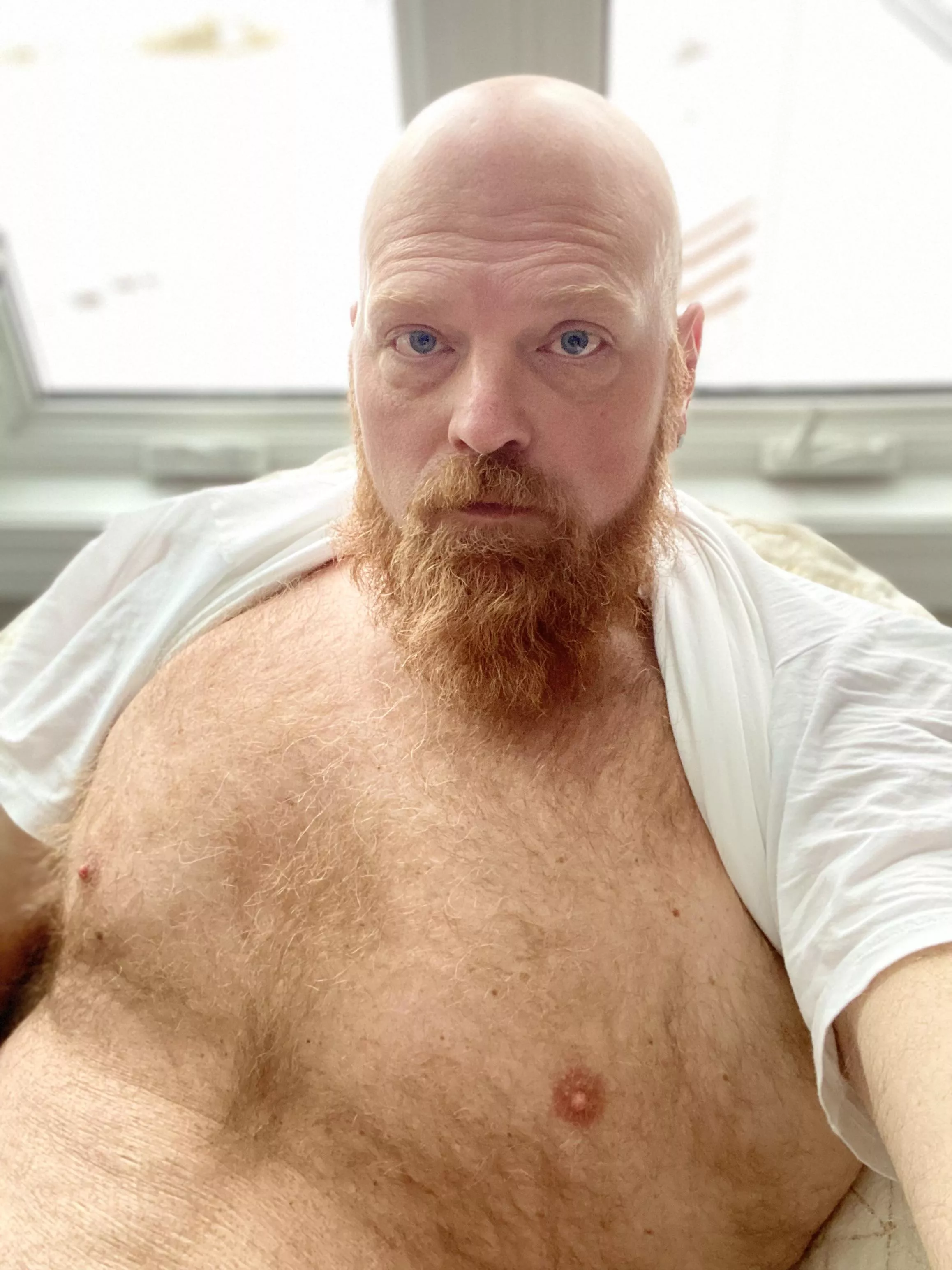 40, Ginger, morning! 40, Ginger, morning!