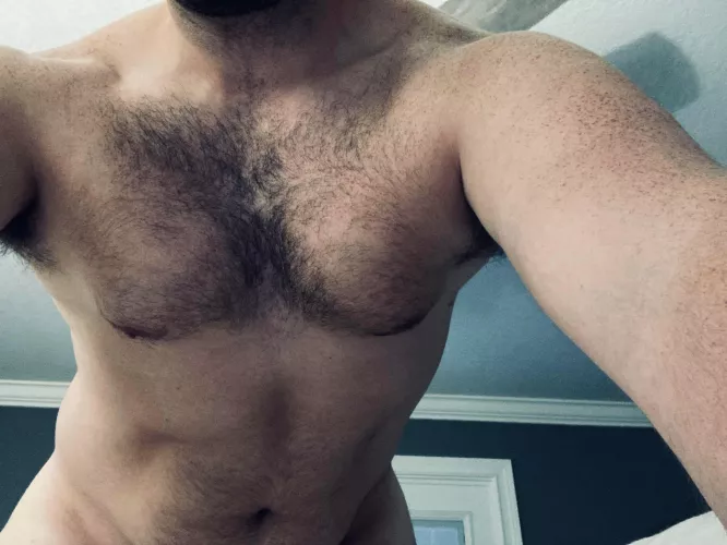 [40] in case you were curious what I’d look like on top.