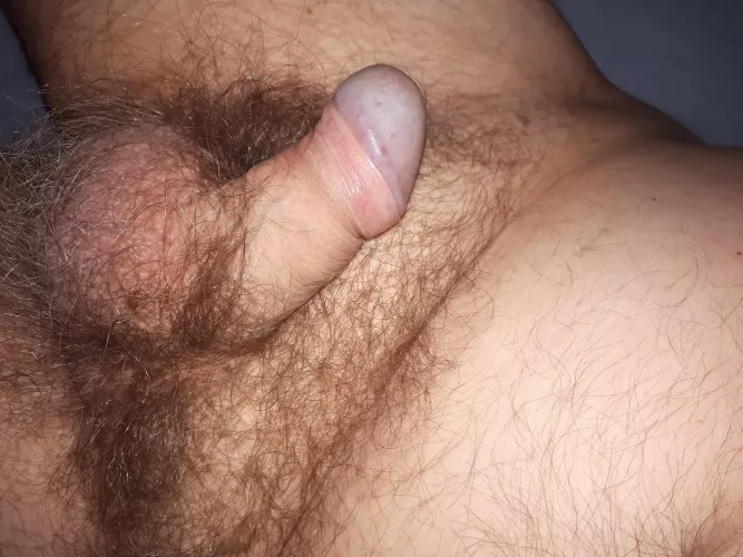 [41] Day off. Staying in bed playing with my little dick and posting pics