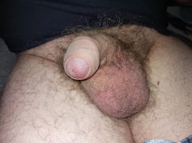 [41] My tiny uncut softie