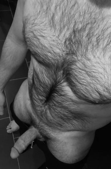 41M looking for a sexy hotwife to have fun with. 41M looking for a sexy hotwife to have fun with.
