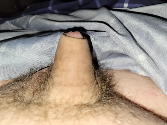 [43] late night chubby