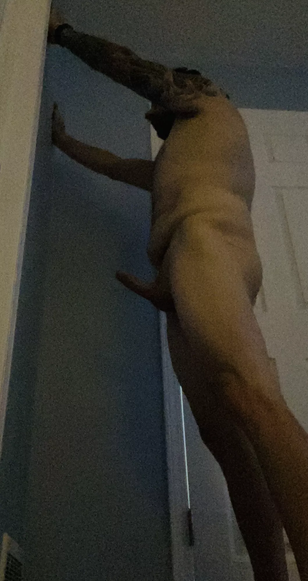 (43) The only thing missing between this wall and I…is you!