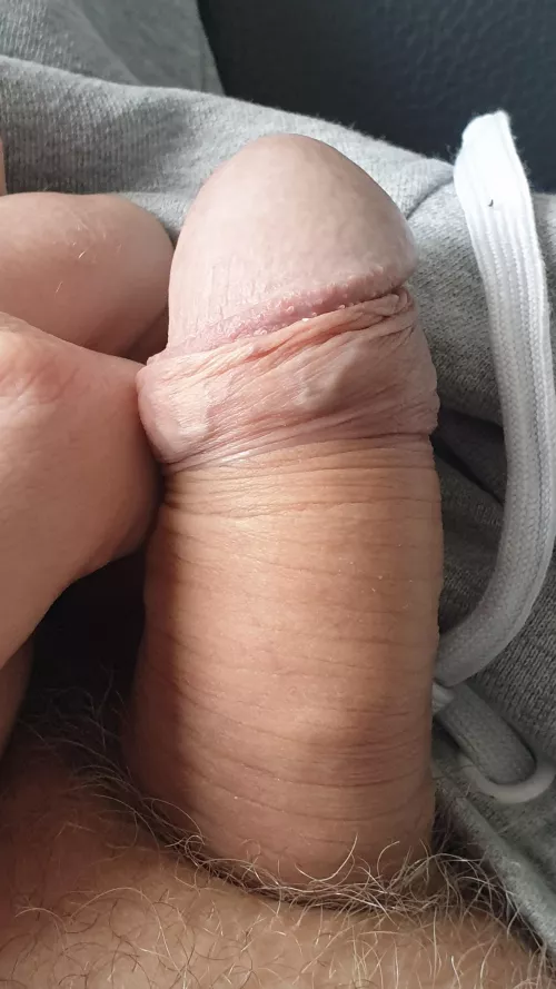 [43] what would you do ?