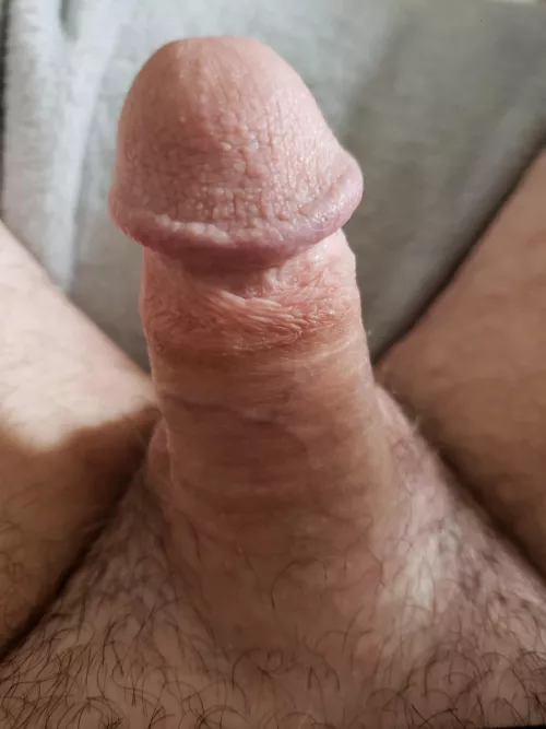 (44) Sunday morning wood