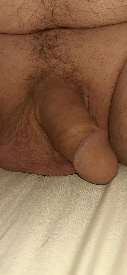 [49] Good morning...