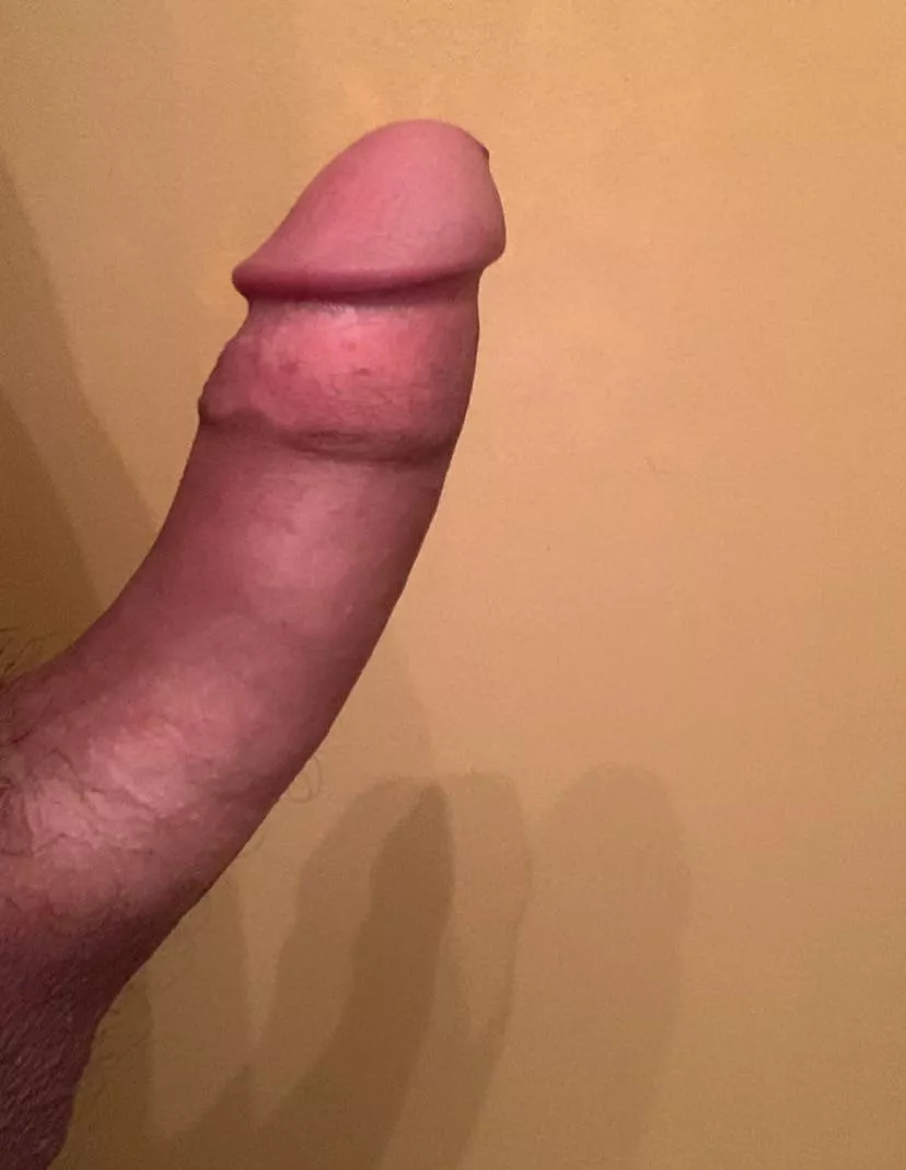 5 and a half inches…is it big enough? 5 and a half inches…is it big enough?