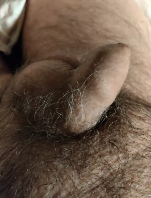 (51) Good morning guys, have a good one today (DM open for pics)