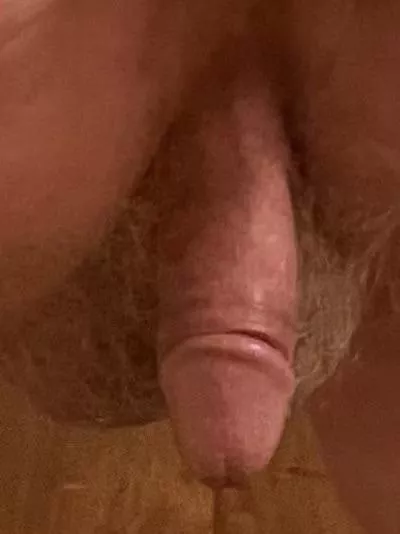 (53) what do you think