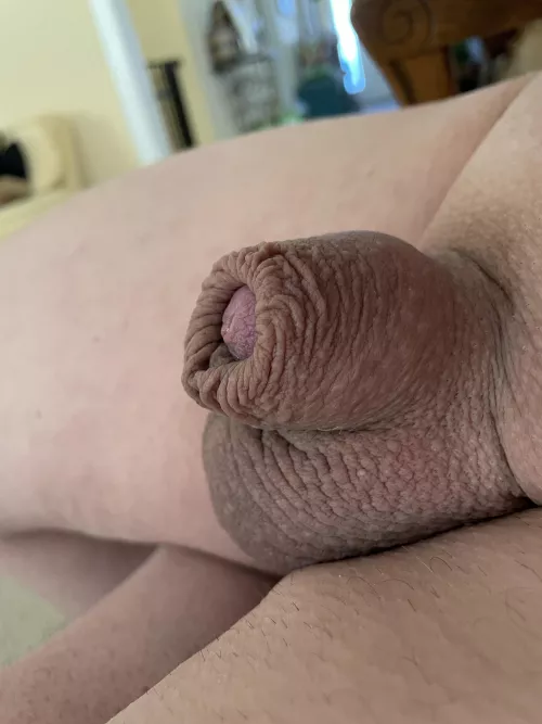 [56] Things look bigger when you’re closer, right?