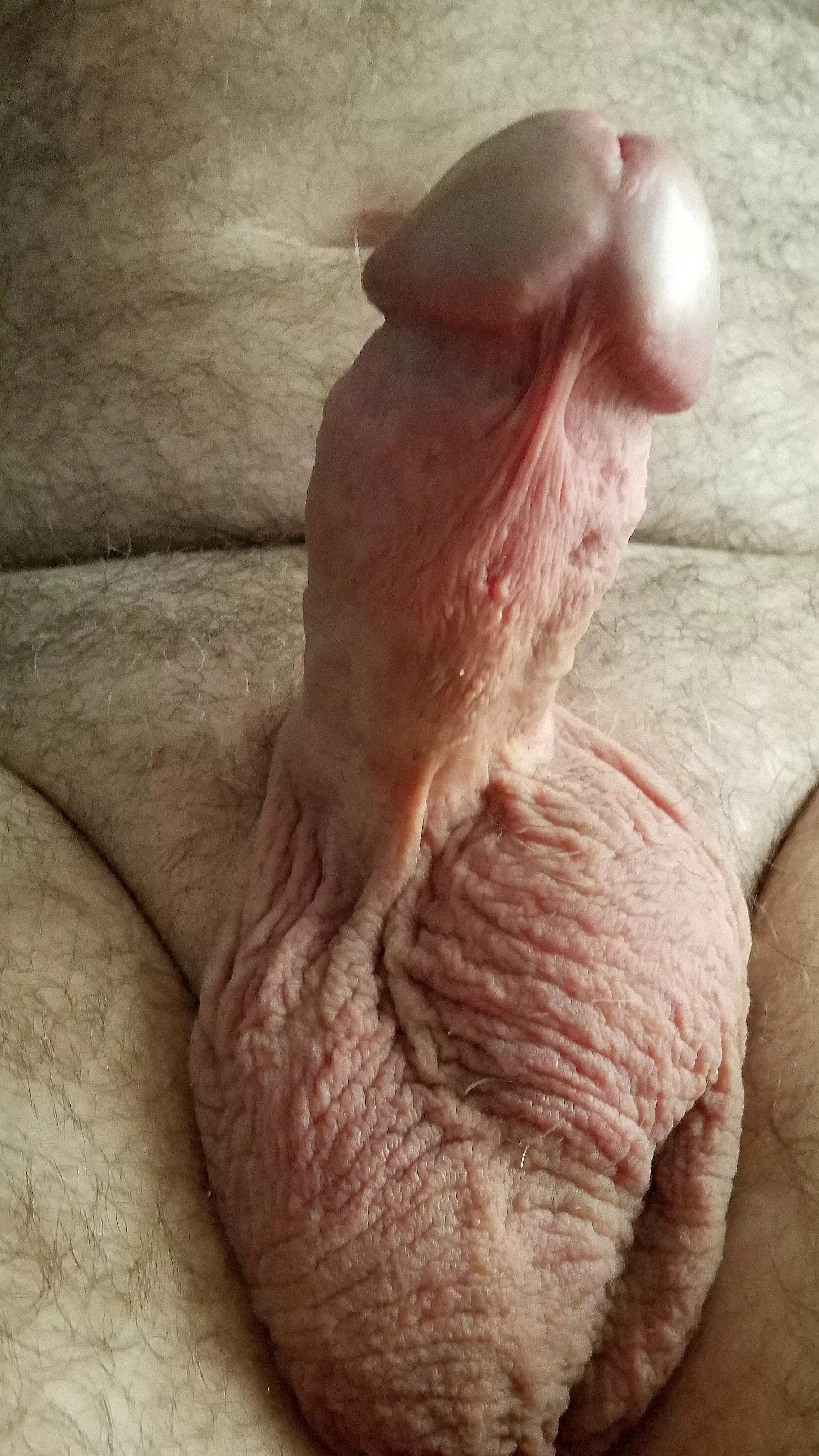 62, How about this old guy? 62, How about this old guy?