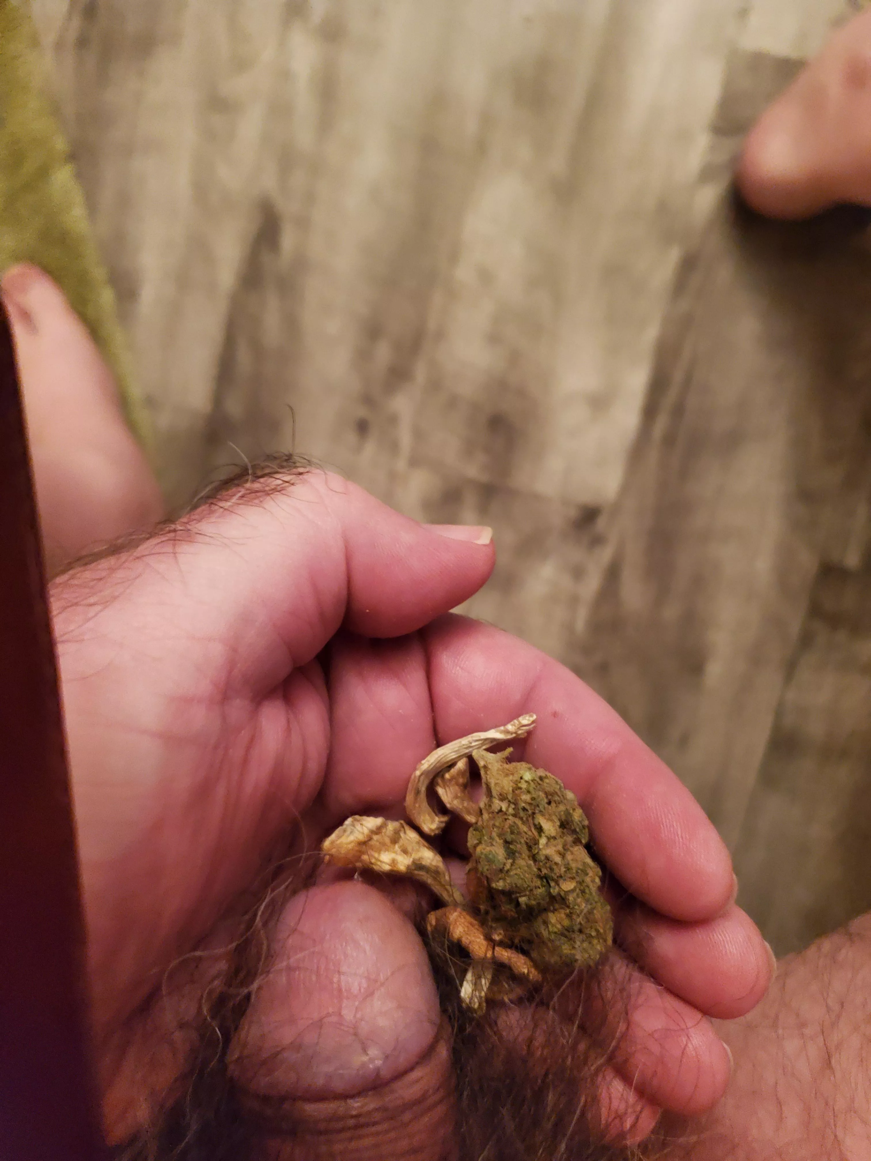 62 (m) cock shrooms and weed. Anybody want to join?