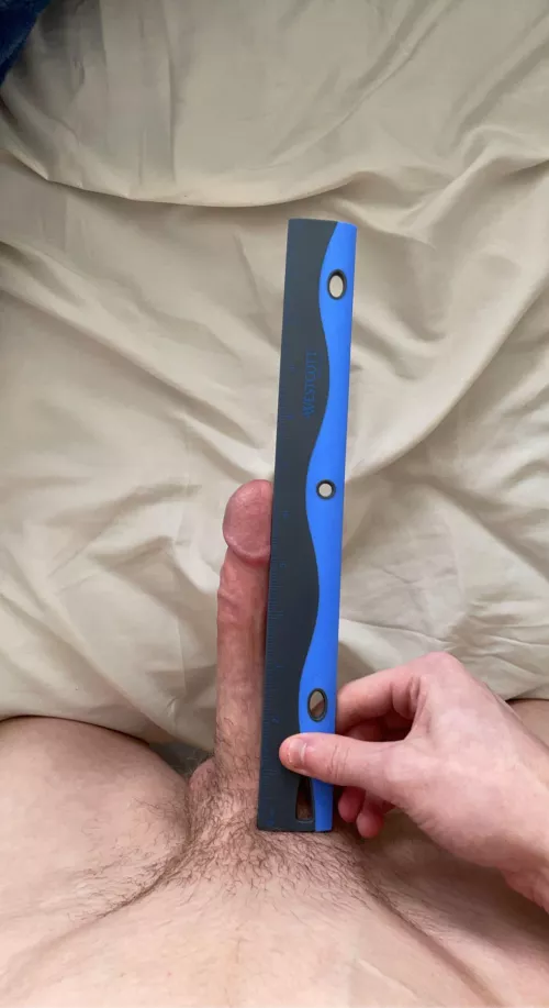 6.5 inches