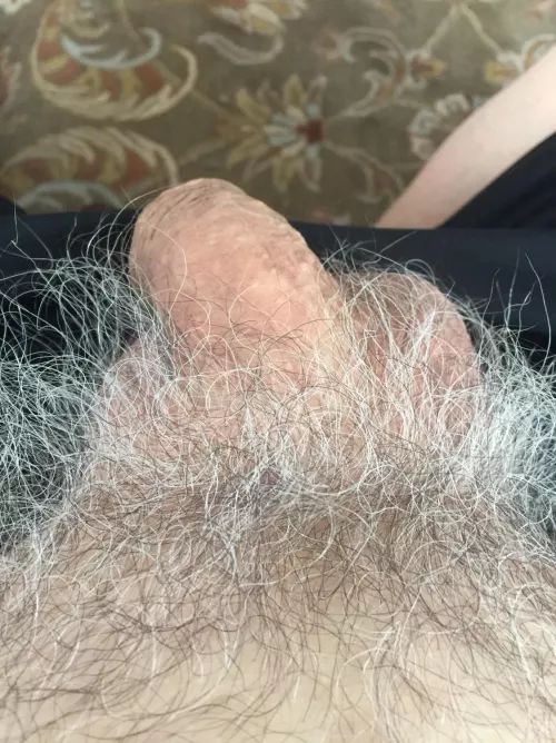 66 Horny for gray pubes! Show me some silver streaked bush! Snap at mikekrakow2