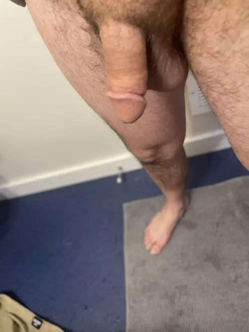 7” hard