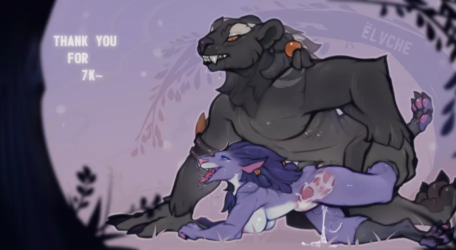 7k special [MF] (elvche