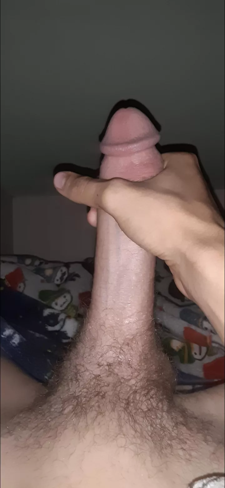 8 8