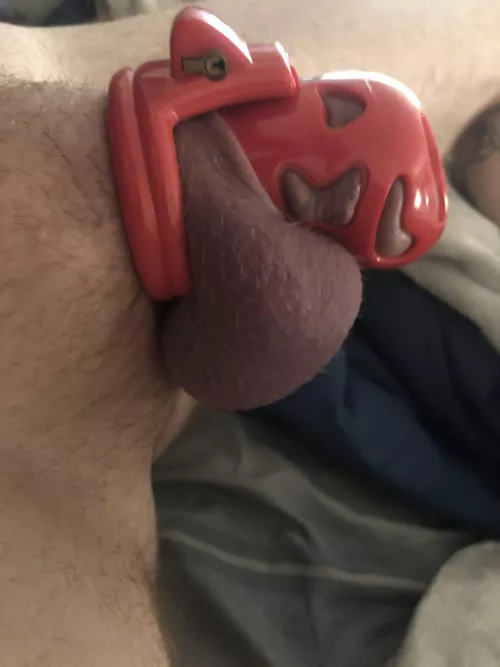 8 days without an orgasm and Iβm unbelievably hornyπ€€π