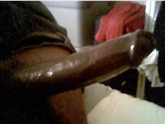 9β bbc side view