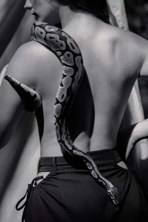 A BnW Snake study