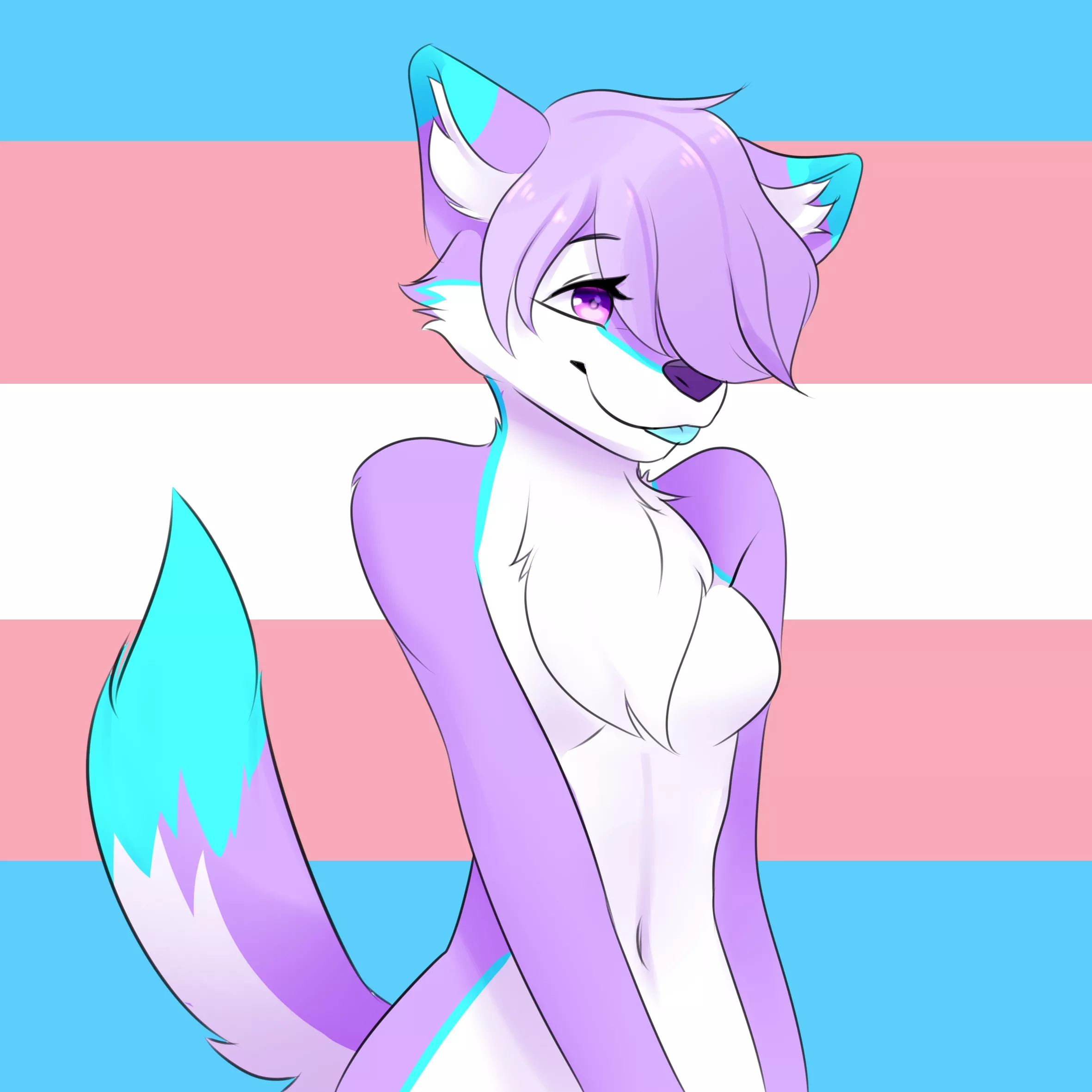 A commissions I've done :3