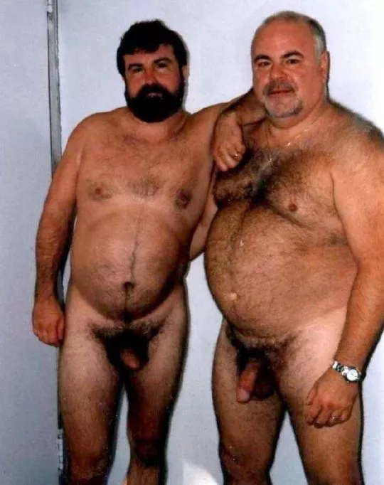 a couple of bears a couple of bears