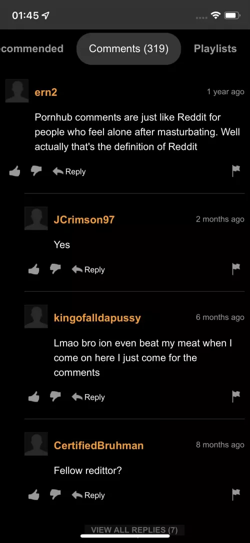 A fellow redditor