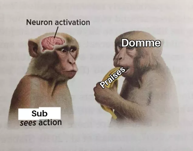 A few praises is all it takes to make me yours ~