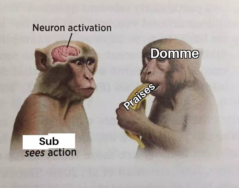 A few praises is all it takes to make me yours ~