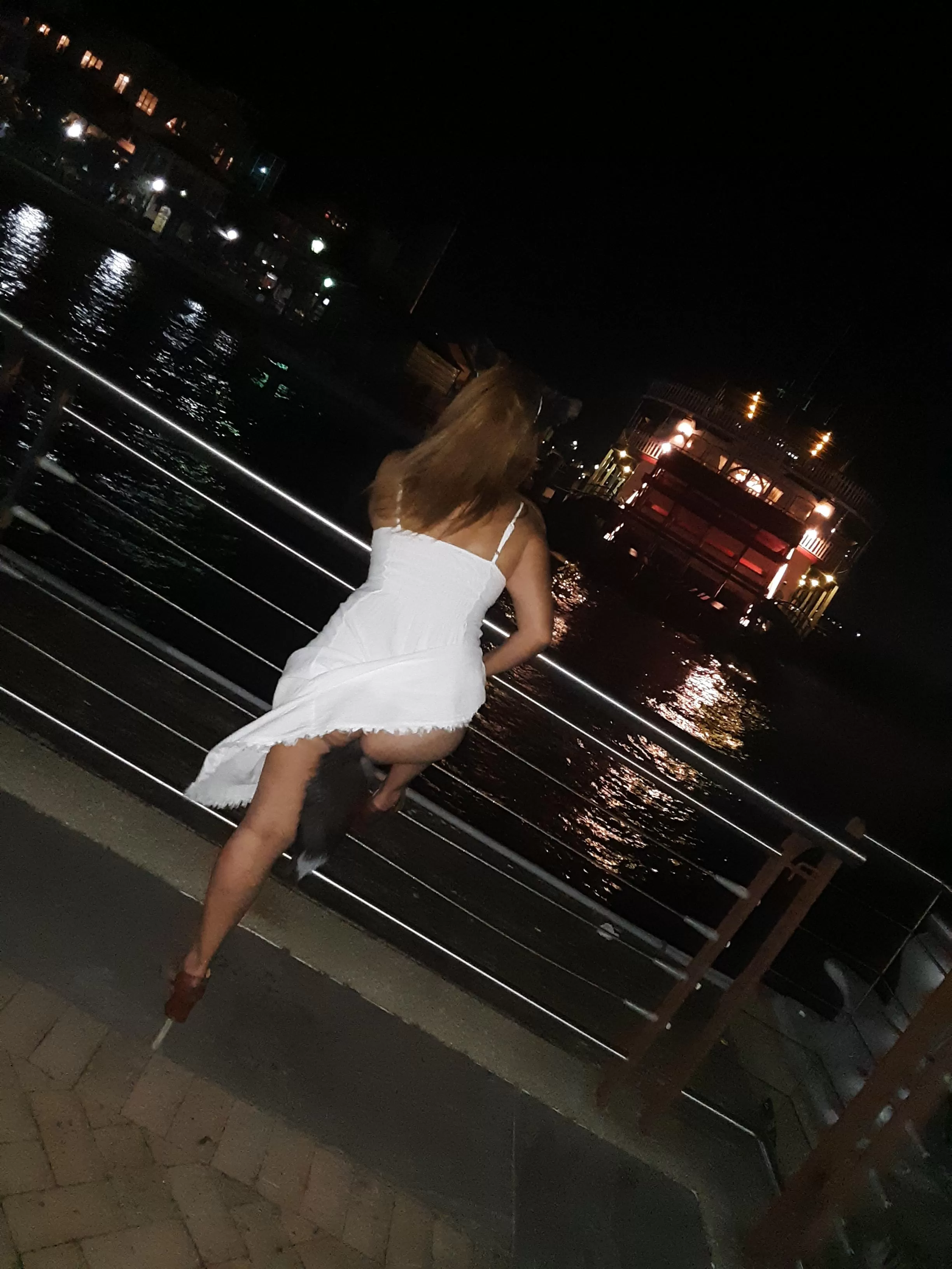 A fox behind the riverboat Natchez. A fox behind the riverboat Natchez.