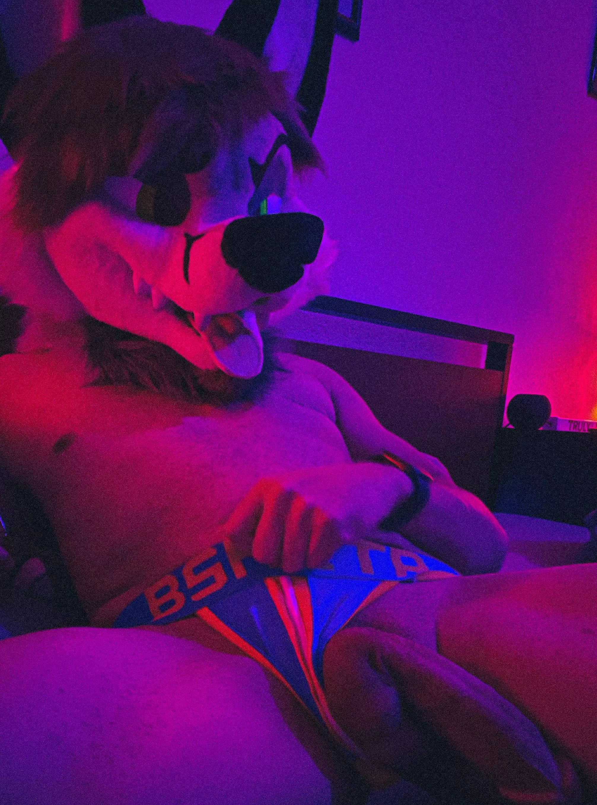 A foxcat could use some help with this~