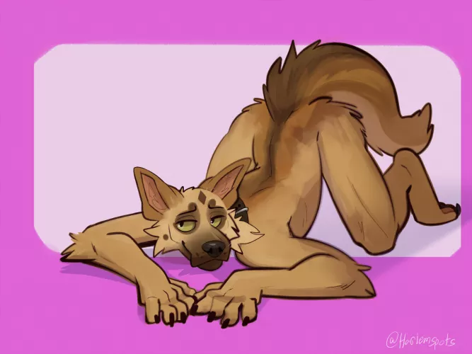 A Good Boi (harlem) A Good Boi (harlem)