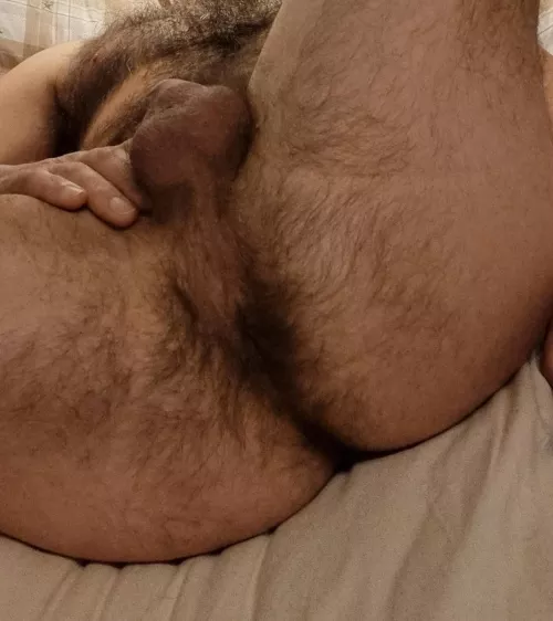 A hairy rear view 😉