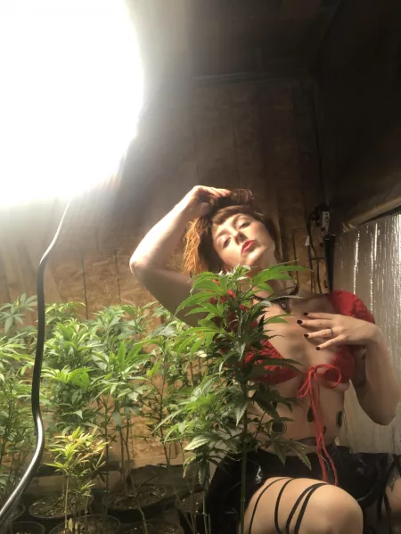 A hippie & her herbs ?????