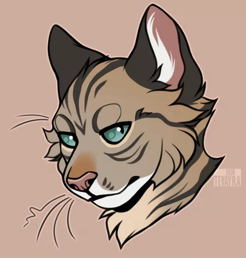 A kitty cat this time!