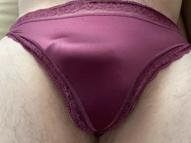 A little Christmas comfort