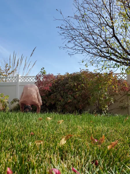 A little crow on a cold 🥶 day here in Colorado! 😘🧘♂️🕉
