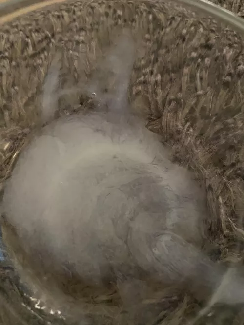 A little of you have been curious how much actually comes out. Here’s an idea 😜🤣