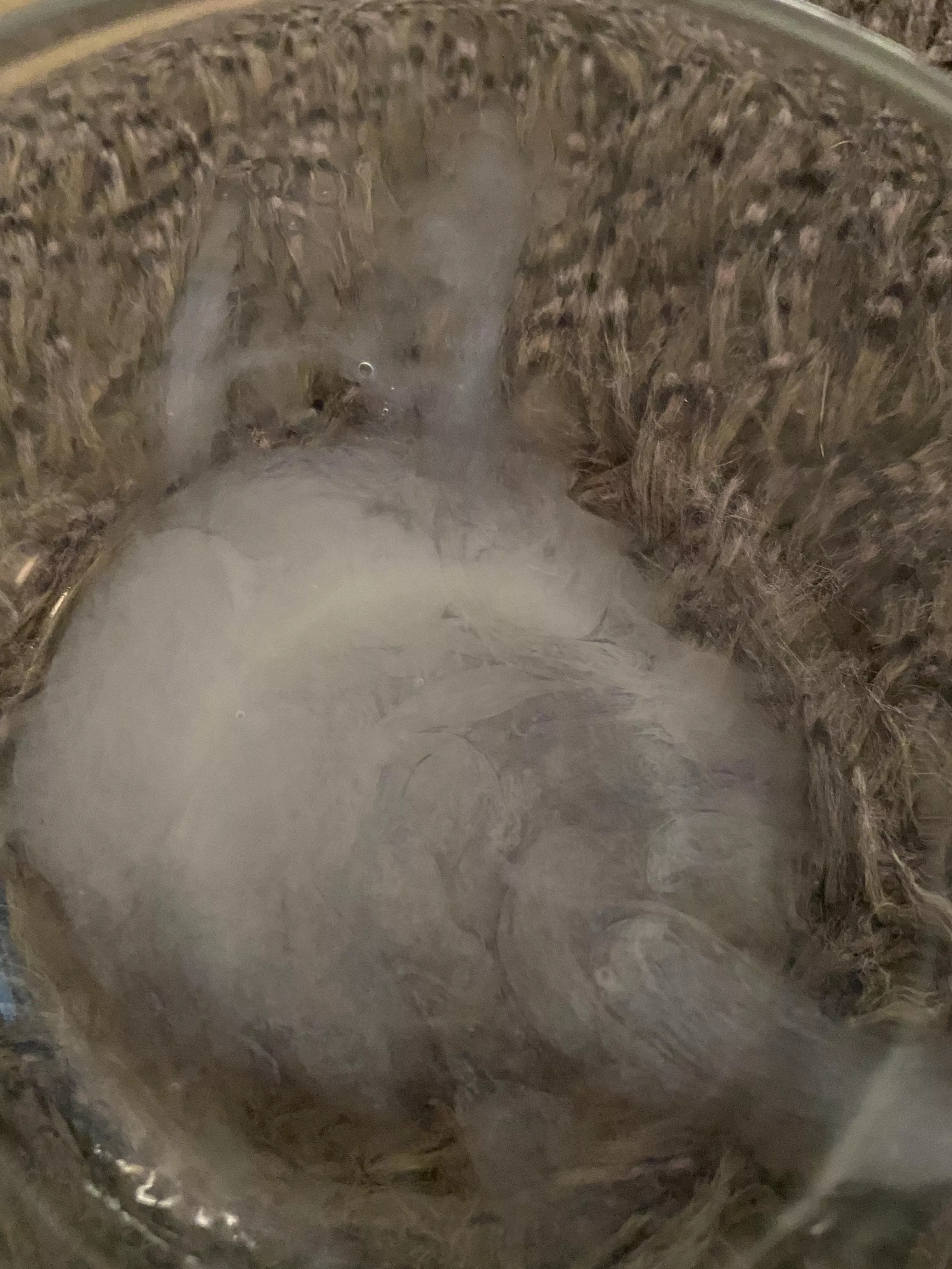 A little of you have been curious how much actually comes out. Here’s an idea 😜🤣